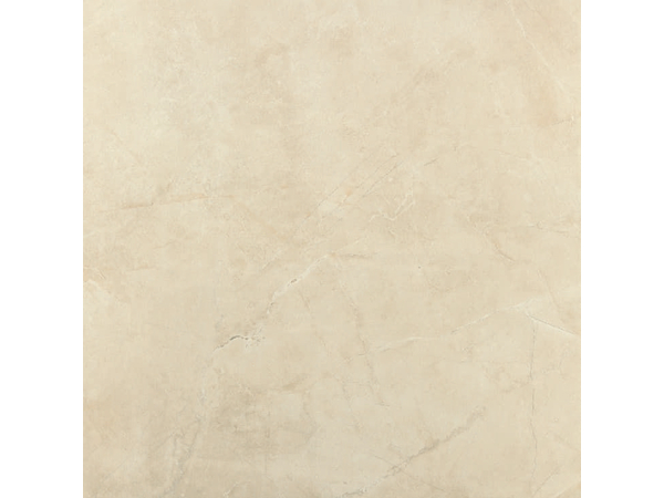 ROYAL PULPIS BONE RETT POL 80*80