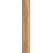 Mountain Ash coral STR 119,8*19
