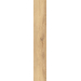 Mountain Ash gold STR 119,8*19