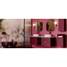 Infinity WC+Toilet Seat Maroon Red