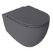 Infinity WC+Toilet Seat  Anthracite Matt