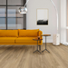 SPC Oak 3510