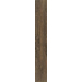 DENDRO CEVIZ(NOCE) 18*118