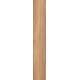 Mountain Ash coral STR 119,8*19