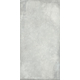 Formia Grey MAT 239,8*119,8