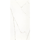 STATUARIO RETT POL 120*240