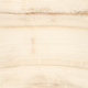 OPAL BONE RETT POL 120*120